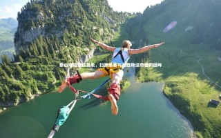 开云体育平台-泰山夺冠昔日景象，扫黑风暴与战胜韩法奇迹的回眸