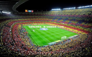 开云体育|马格诺头球救主，津门虎保级仅凭一人不足