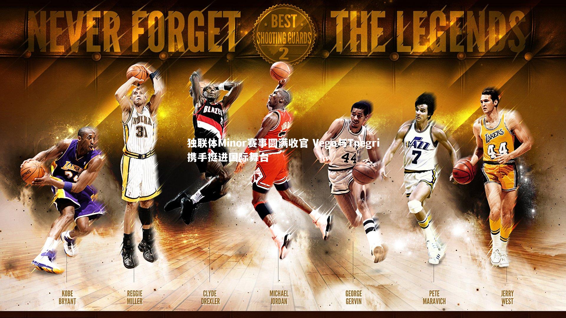 开云体育官网-独联体Minor赛事圆满收官 Vega与Tnegri携手挺进国际舞台-第2张图片-开云官网app